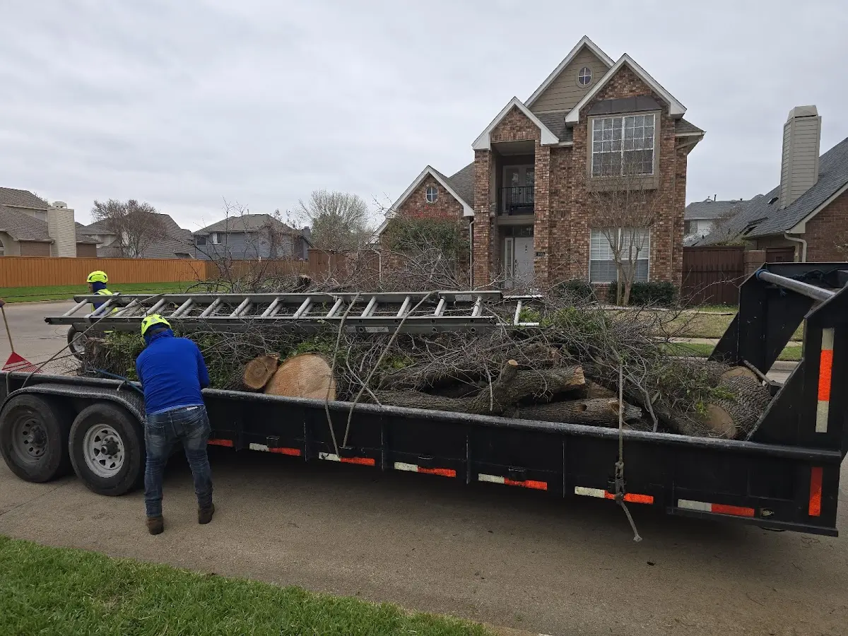 Expert Tree Removal with proper safety equipment in Walden